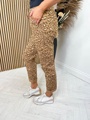 Magic Pant Leopard - 5 Colours