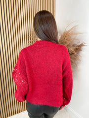 Robin Sequin Jumper